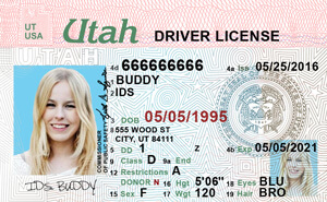 Utah Drivers License Renewal